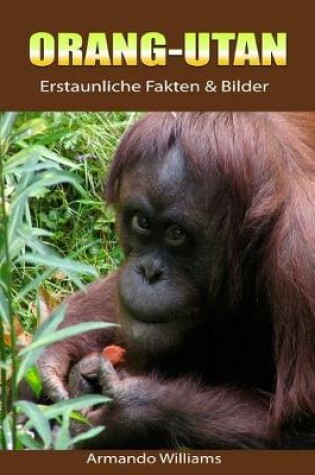 Cover of Orang-Utan