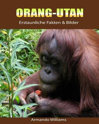 Book cover for Orang-Utan