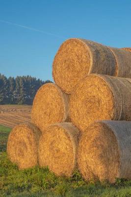 Book cover for Straw Bales at Harvest on the Farm Journal