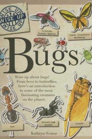 Cover of Bugs