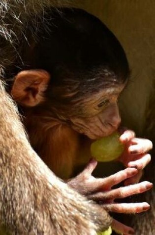 Cover of Cute Little Barbary Macaque Baby Eating a Grape Journal