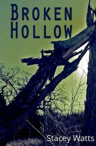 Cover of Broken Hollow