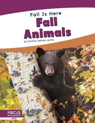 Book cover for Fall Animals