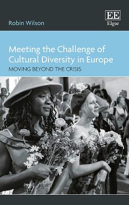 Book cover for Meeting the Challenge of Cultural Diversity in E - Moving Beyond the Crisis