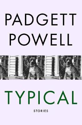 Book cover for Typical