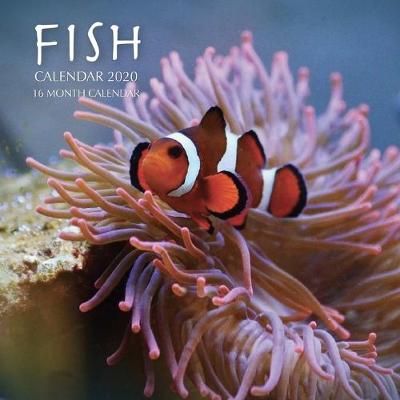 Book cover for Fish Calendar 2020