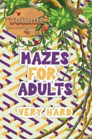 Cover of Mazes for adults