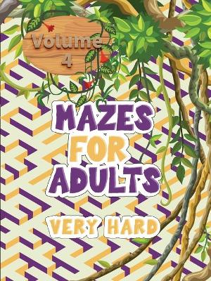 Book cover for Mazes for adults