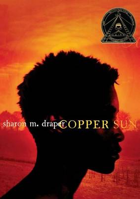 Book cover for Copper Sun
