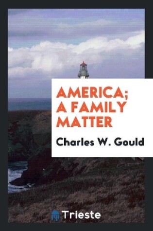 Cover of America; A Family Matter