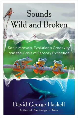 Book cover for Sounds Wild and Broken