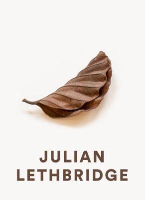Book cover for Julian Lethbridge