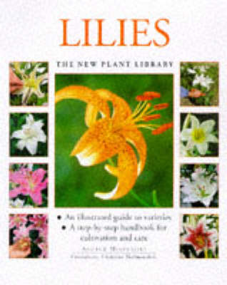 Cover of Lilies