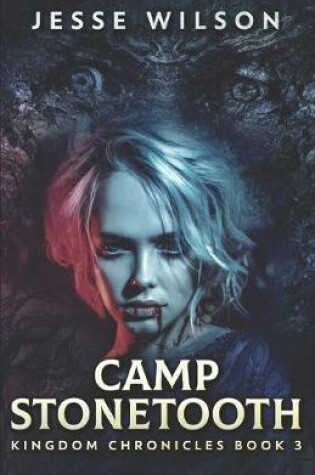 Cover of Camp Stonetooth