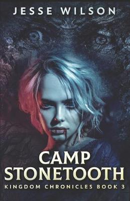 Book cover for Camp Stonetooth