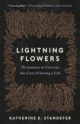 Book cover for Lightning Flowers