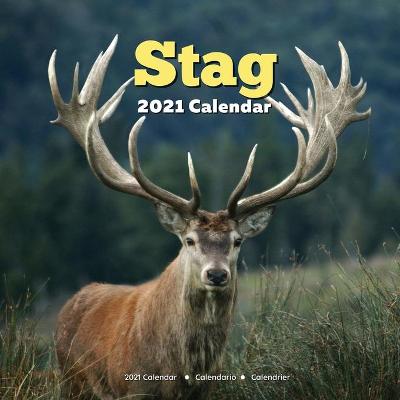 Book cover for Stag Calendar 2021