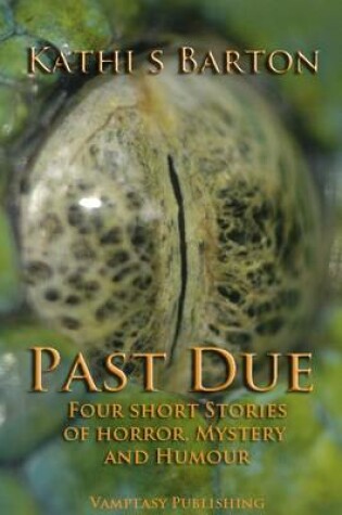 Cover of Past Due
