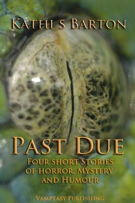 Book cover for Past Due