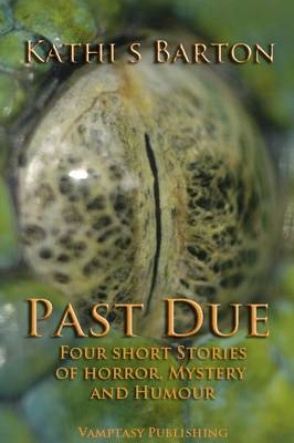 Cover of Past Due