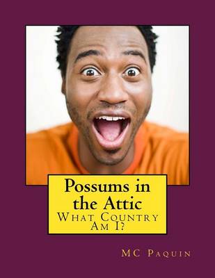 Book cover for Possums in the Attic