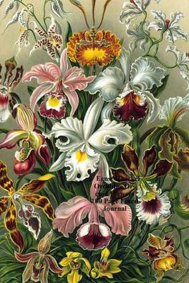 Book cover for Ernst Haeckel Orchidae Orchid Flowers 100 Page Lined Journal