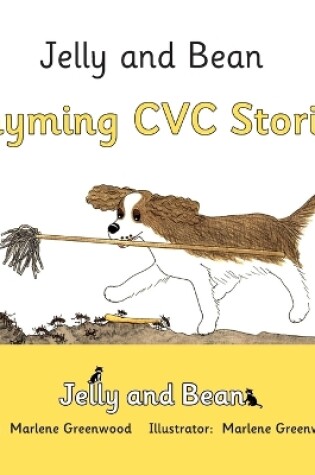 Cover of Rhyming CVC Stories