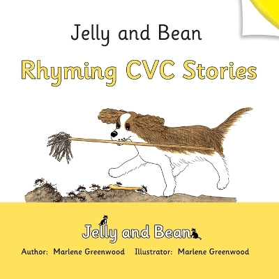 Book cover for Rhyming CVC Stories