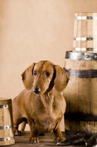 Cover of Dachsund Guarding the Beer, for the Love of Dogs