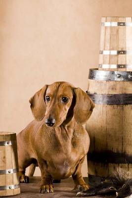 Book cover for Dachsund Guarding the Beer, for the Love of Dogs