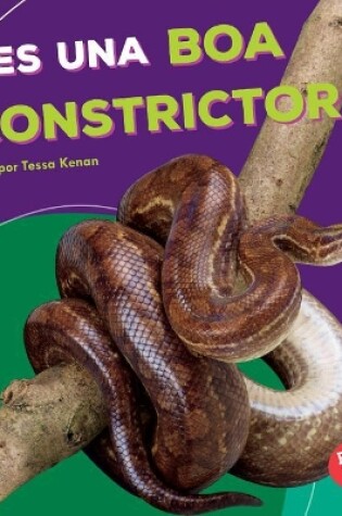 Cover of ¡Es Una Boa Constrictora! (It's a Boa Constrictor!)