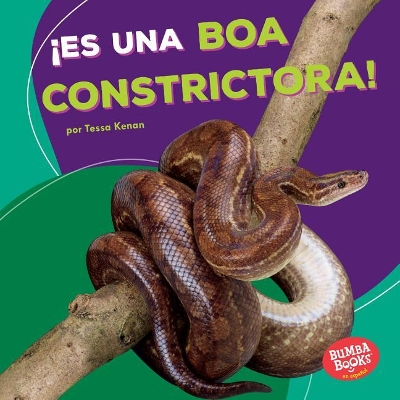 Cover of ¡Es Una Boa Constrictora! (It's a Boa Constrictor!)