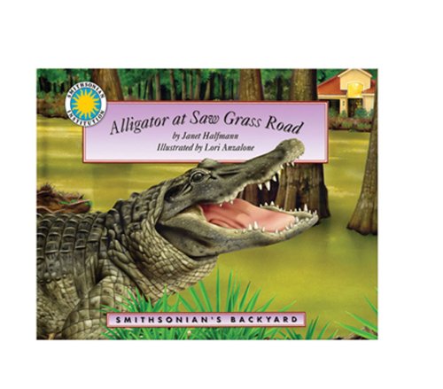 Book cover for Alligator at Saw Grass Road