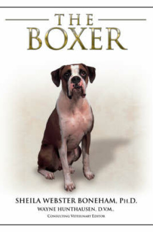 Cover of The Boxer