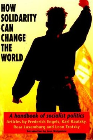 Cover of How Solidarity Can Change the World