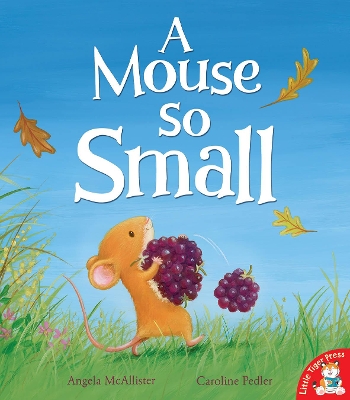 Book cover for A Mouse So Small