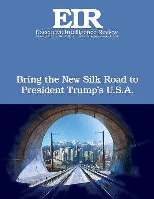 Book cover for Bring the New Silk Road To President Trump's U.S.A.