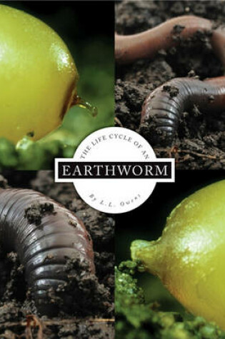 Cover of The Life Cycle of an Earthworm