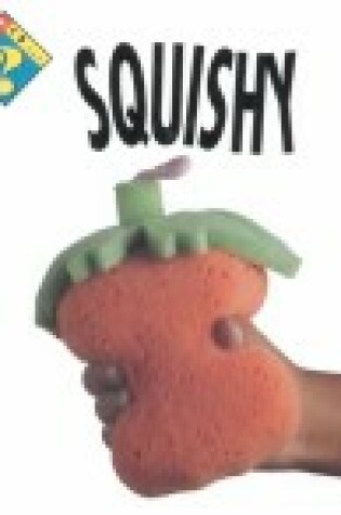 Cover of What Is Squishy?