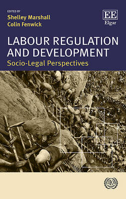 Book cover for Labour Regulation and Development - Socio-Legal Perspectives