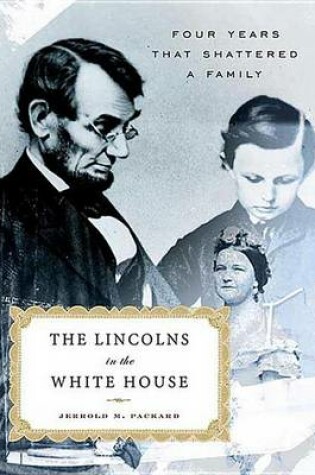 Cover of The Lincolns in the White House