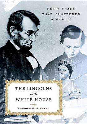 Book cover for The Lincolns in the White House