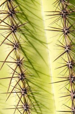 Book cover for Saguaro Cactus Spines Journal