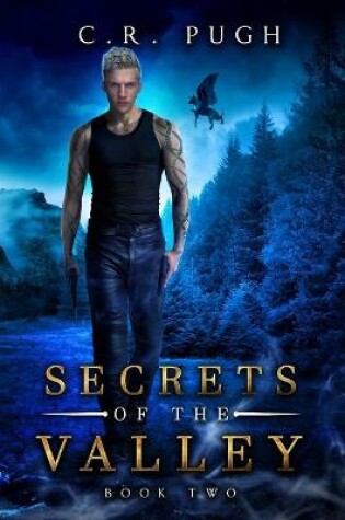Cover of Secrets of the Valley