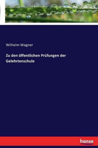 Cover of Zu den öffentlichen Prüfungen der Gelehrtenschule