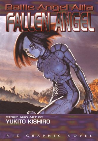 Cover of Fallen Angel