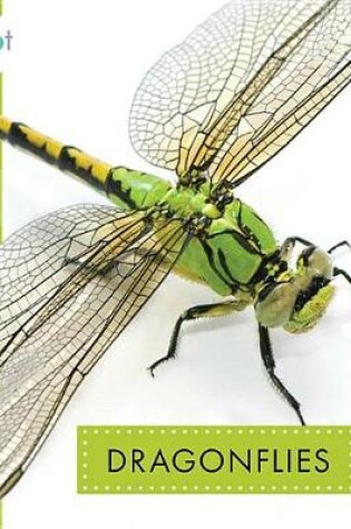 Cover of Dragonflies