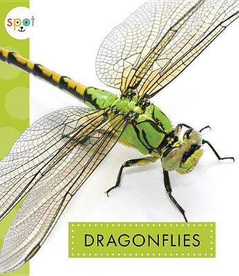 Cover of Dragonflies