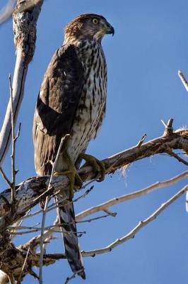 Book cover for Cooper's Hawk Journal