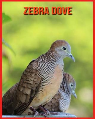 Book cover for Zebra Dove